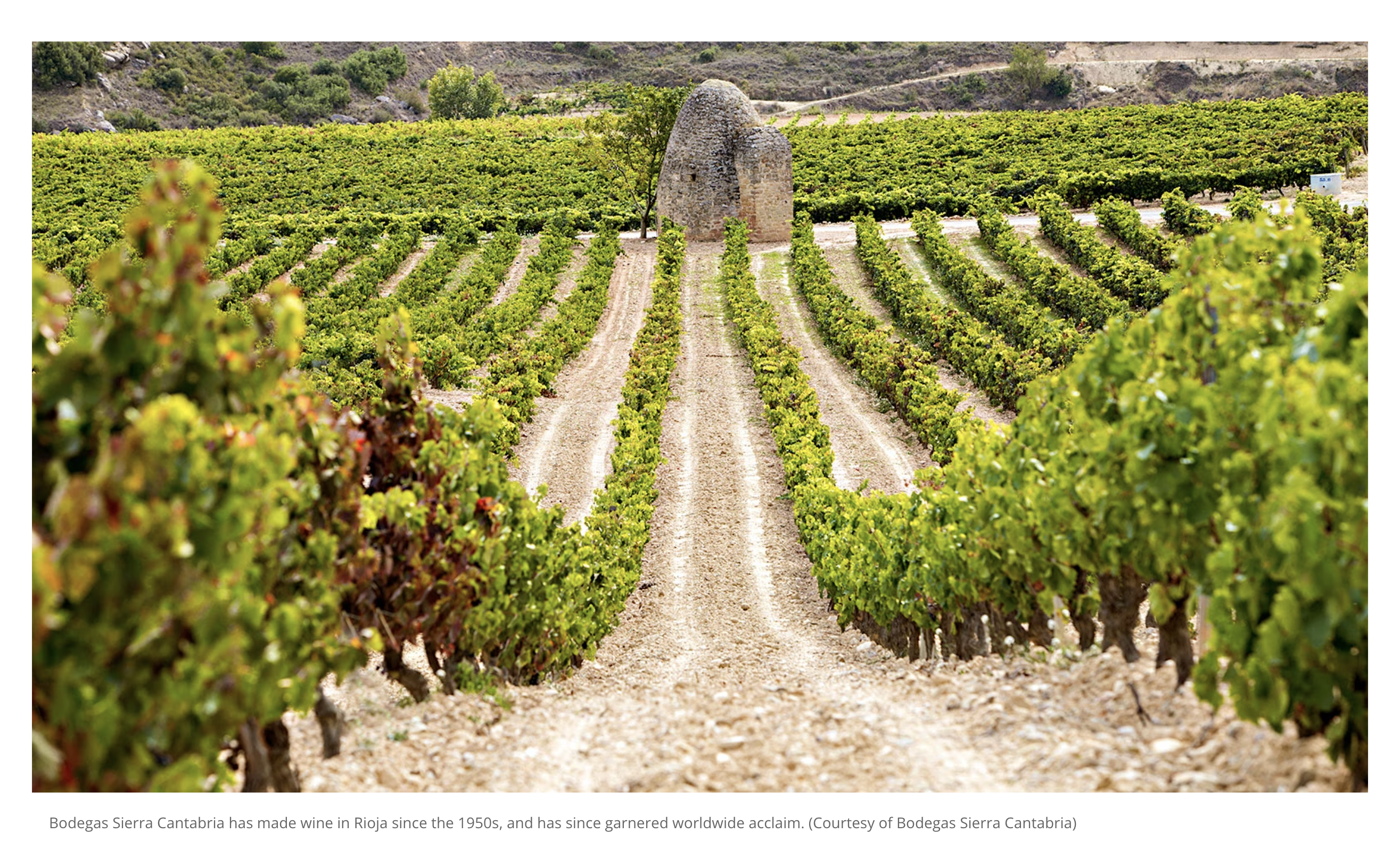 Wine Spectator Features Rioja in Spanish Wine Review